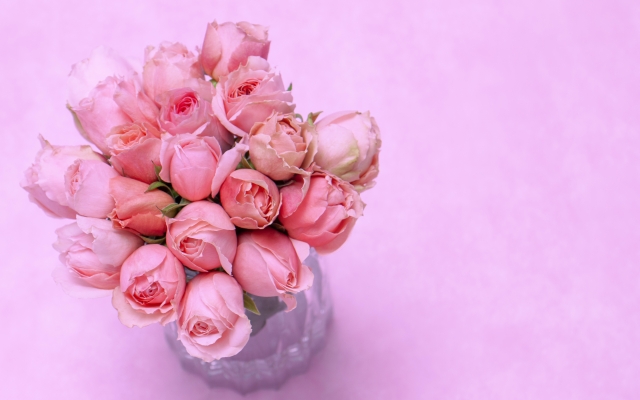薔薇