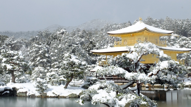 雪の金閣寺