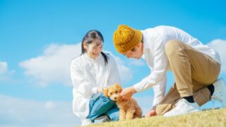 犬の散歩