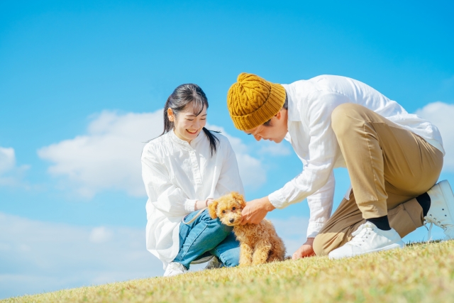 犬の散歩