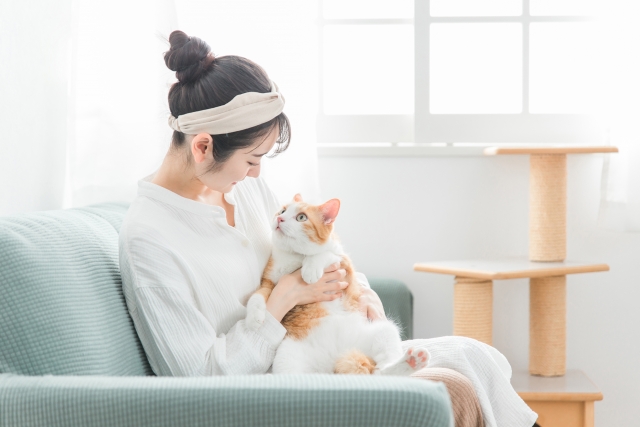 猫を抱っこする人