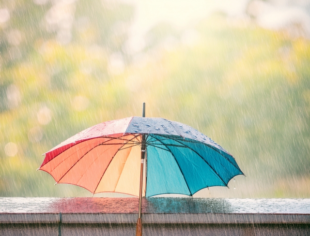 雨と傘