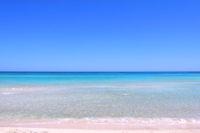 海