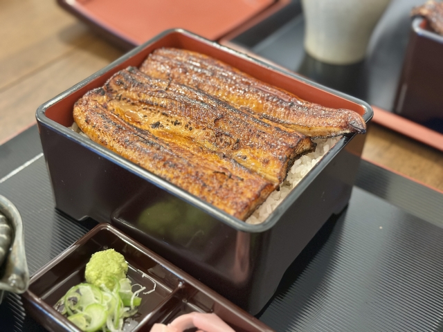 名代のうなぎ丼