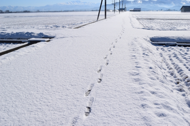 足跡の痕跡