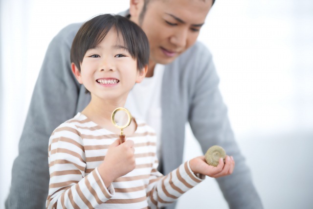 小学生の自由研究