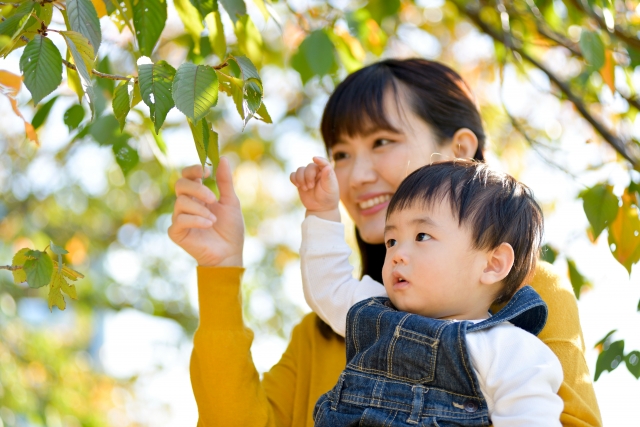 公園散策
