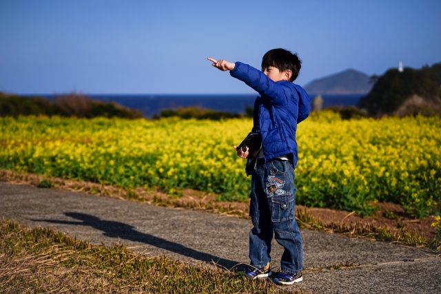 菜の花畑
