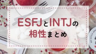 ESFJ-INTJ相性