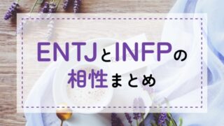ENTJ-INFP相性